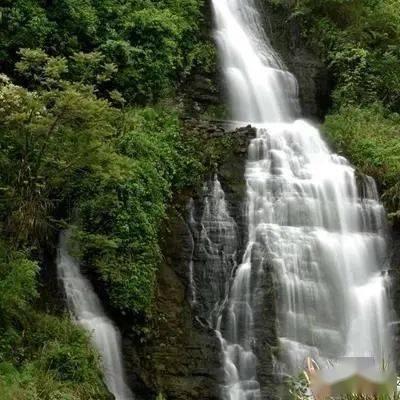 小勇者大作战
